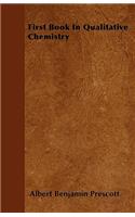 First Book In Qualitative Chemistry