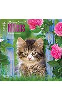Kittens, for the Love of 2018 Mini Wall Calendar