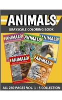 ANIMALS Grayscale Coloring Book Vol. 1 - 5 Collection