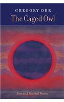 Caged Owl