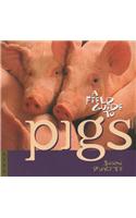 A Field Guide to Pigs