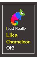 I Just Really Like Chameleon, OK !