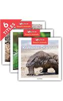Desert Animals (Set)