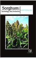 Sorghum