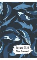 Agenda 2020 Vista Semanal: 12 Meses Programacion Semanal Calendario en Espanol Diseno Narval y Tiburón