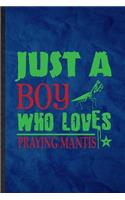 Just a Boy Who Loves Praying Mantis