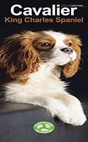 Cavalier King Charles Spaniel 2023 Slim Calendar