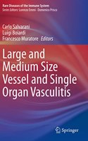 Large and Medium Size Vessel and Single Organ Vasculitis