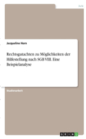 Rechtsgutachten zu Möglichkeiten der Hilfestellung nach SGB VIII. Eine Beispielanalyse