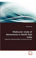 Molecular study of Aeromonas in North East India