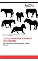 USO y Situacion Actual de Los Equidos