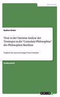 Trost in der Literatur. Analyse der Trosttopoi in der 