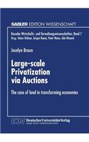 Large-Scale Privatization Via Auctions