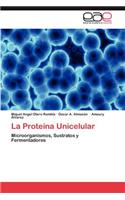 Proteina Unicelular