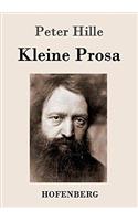 Kleine Prosa