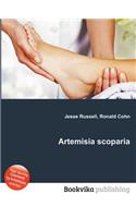 Artemisia Scoparia