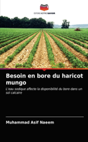 Besoin en bore du haricot mungo