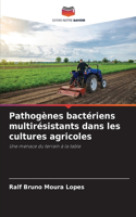 Pathogènes bactériens multirésistants dans les cultures agricoles