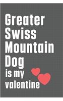 Greater Swiss Mountain Dog is my valentine