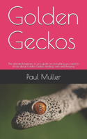Golden Geckos: The ultimate beginners to pro guide on everything you need to know about Golden Geckos, feeding, care and housing