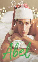 Abel: Christmas Competition MM Gay Romance(Men of Magnolia Grove)