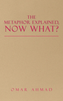 Metaphor Explained, Now What?