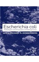Escherichia Coli