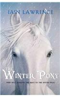 The Winter Pony