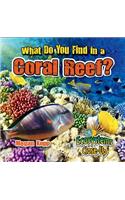 What Do You Find in a Coral Reef?: (Ecosystems Close-Up)