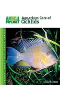 Aquarium Care of Cichlids