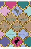 Flying Goats in Agadir