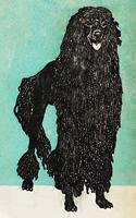 Black Poodle Dog: Daily Journal - 120 Blank Lined Pages