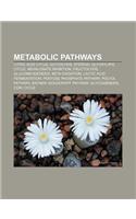 Metabolic Pathways
