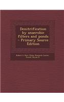 Denitrification by Anaerobic Filters and Ponds