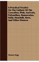 A Practical Treatise on the Culture of the Carnation, Pink, Auricula, Polyanthus, Ranunculus, Tulip, Hyacinth, Rose, and Other Flowers