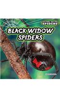 Black Widow Spiders