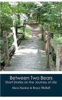 Between Two Bears: Short Stories on the Journey of Life