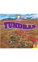 Tundra: (Exploring Ecosystems)