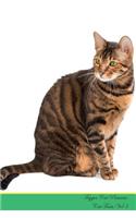 Toyger Cat Presents: Cat Facts Workbook. Toyger Cat Presents Cat Facts Workbook with Self Therapy, Journalling, Productivity Tracker with Self Therapy, Journalling, Productivity Tracker Workbook. Includes: Space for Notes, to Do Lists, Brainstorms.