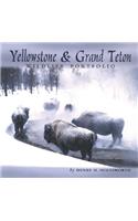 Yellowstone & Grand Teton Wildlife