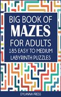 Big Book of Mazes for Adults