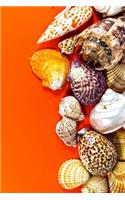 Seashells on Orange Journal