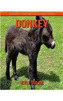 Donkey! Learn about Donkey and Enjoy Colorful Pictures