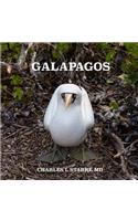 Galapagos