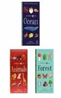 Hidden World Series Lift-The-Flap 3 Books Collection Set (Forest, Animals & Ocean)