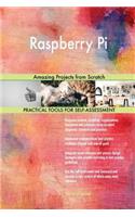 Raspberry Pi: Amazing Projects from Scratch