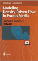 Modeling Density-Driven Flow in Porous Media: Principles, Numerics, Software