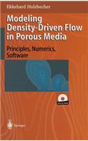 Modeling Density-Driven Flow in Porous Media