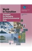 Strategies for Managing Global Environmental Risks