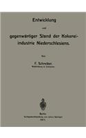 Entwicklung und gegenwärtiger Stand der Kokereiindustrie Niederschlesiens